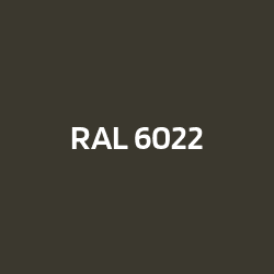 RAL 6022 Oliva parduzco