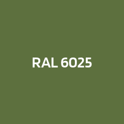 RAL 6025 Verde helecho
